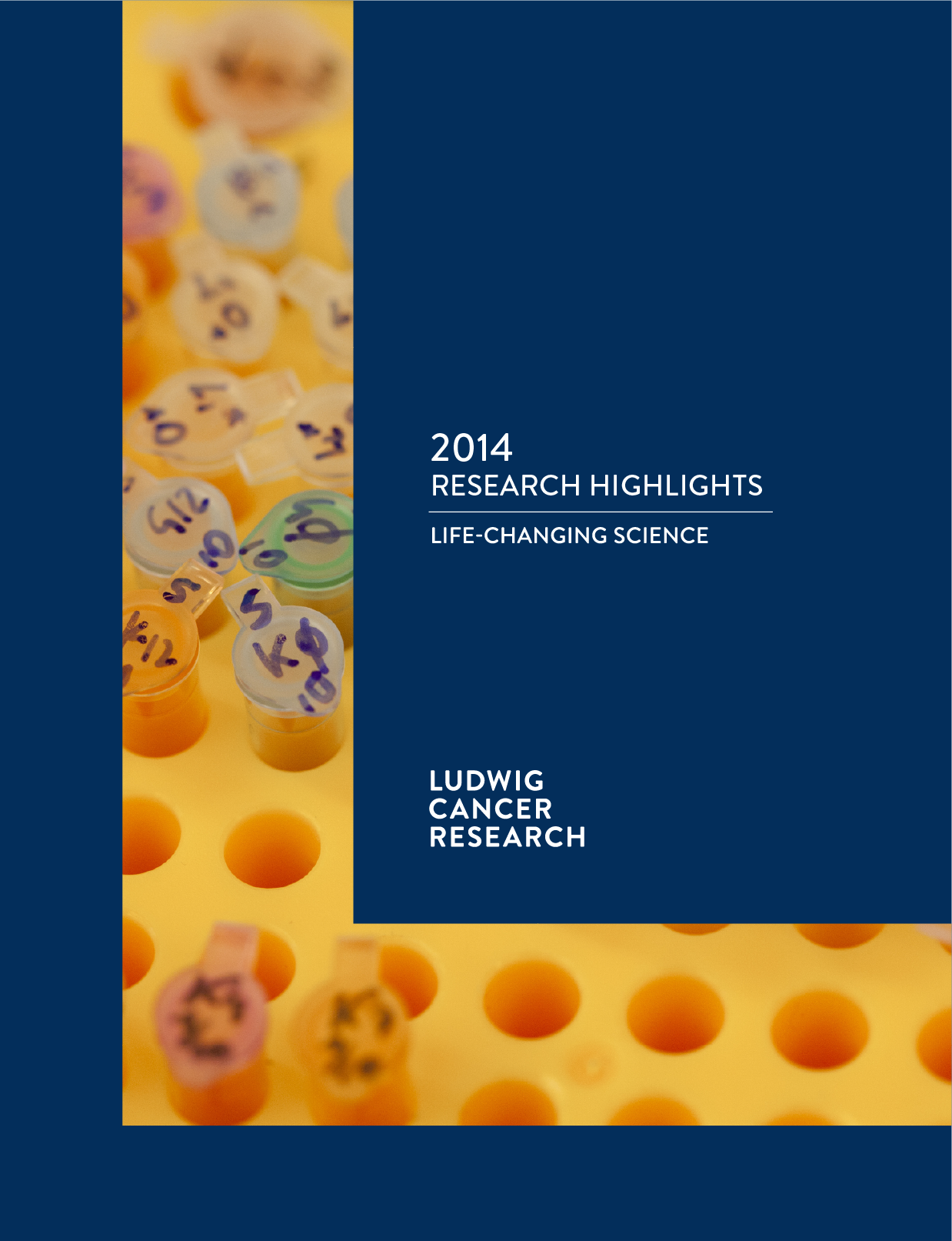 Ludwig Annual Research Highlights report cover