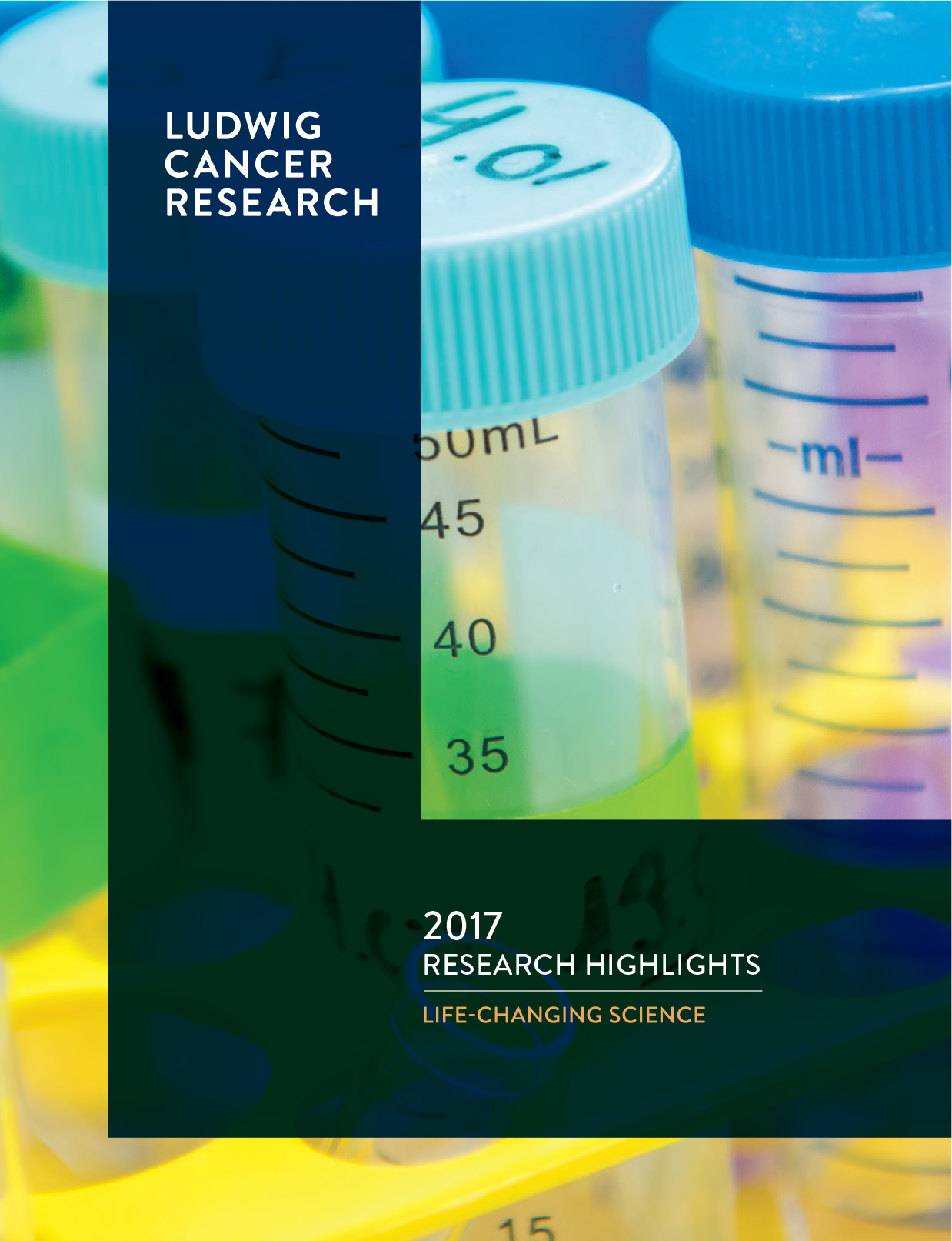 2-17 Annual Research Highlights cover