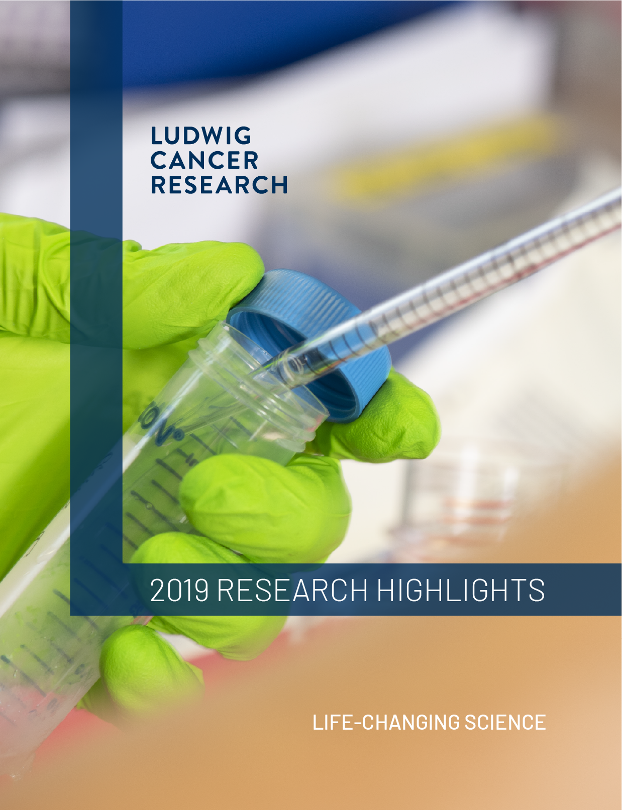 2020 Ludwig Annual Research Highlights report cover