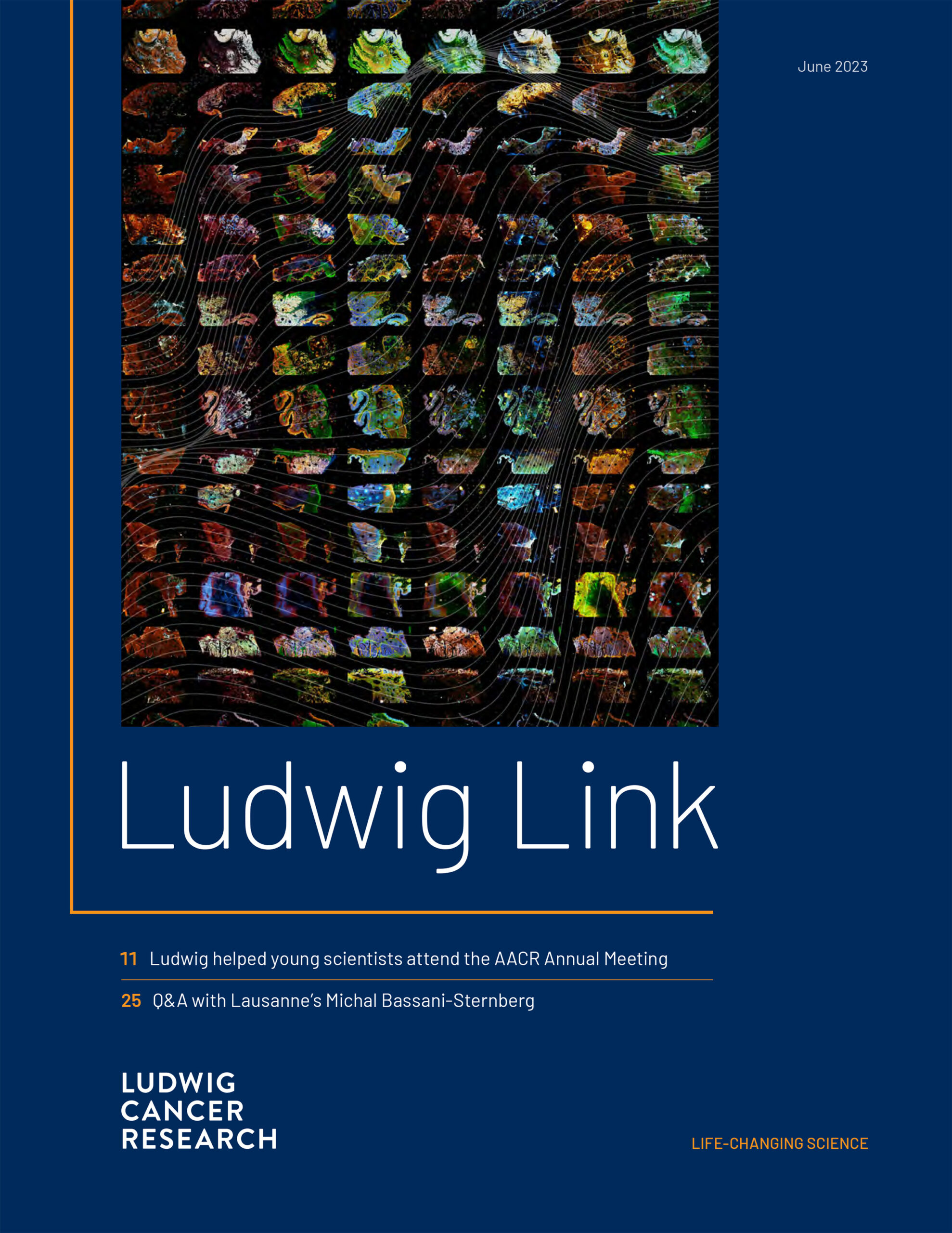 Ludwig Link June 2023 issue