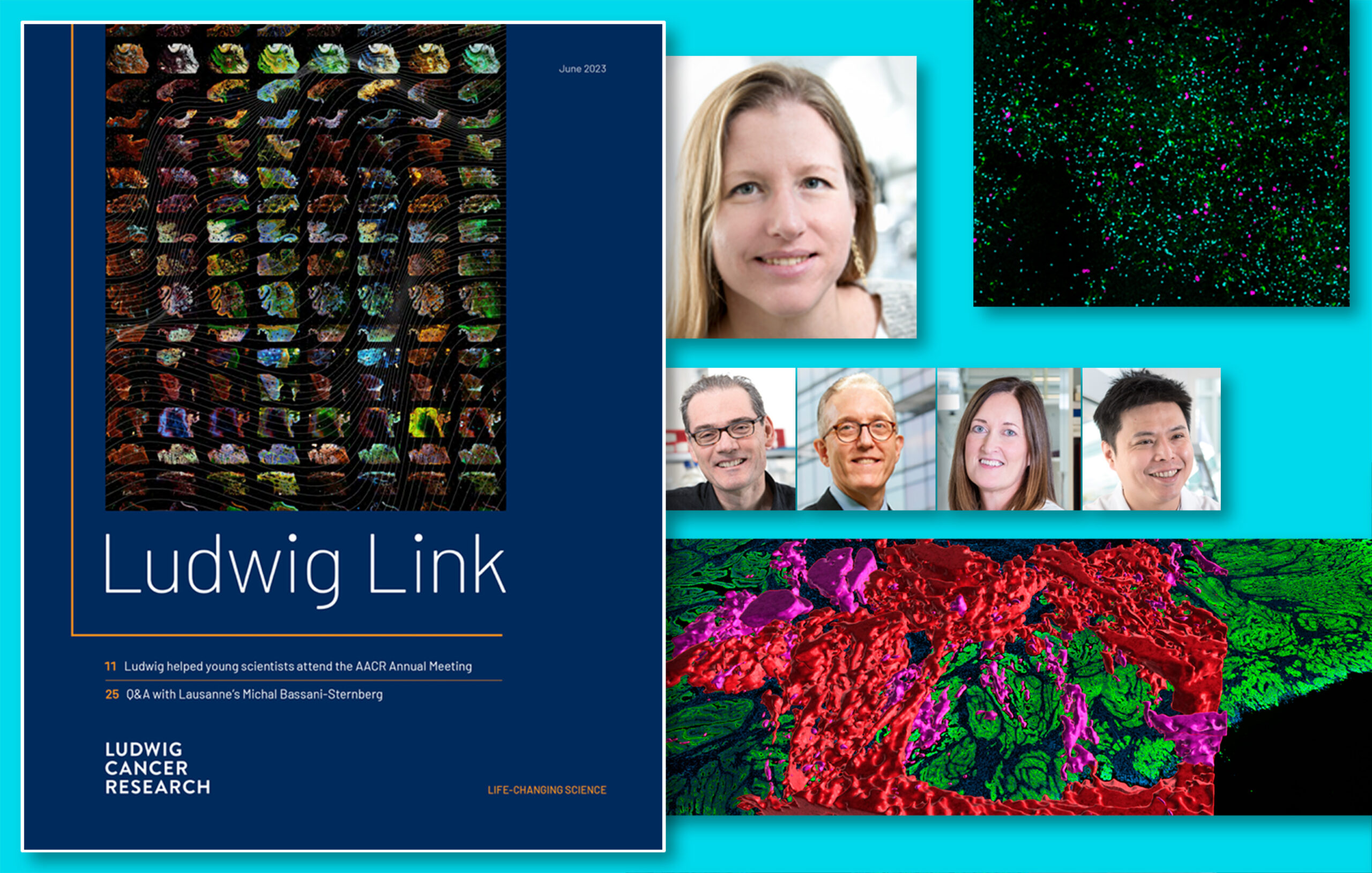 Ludwig Link June 2023 issue collage