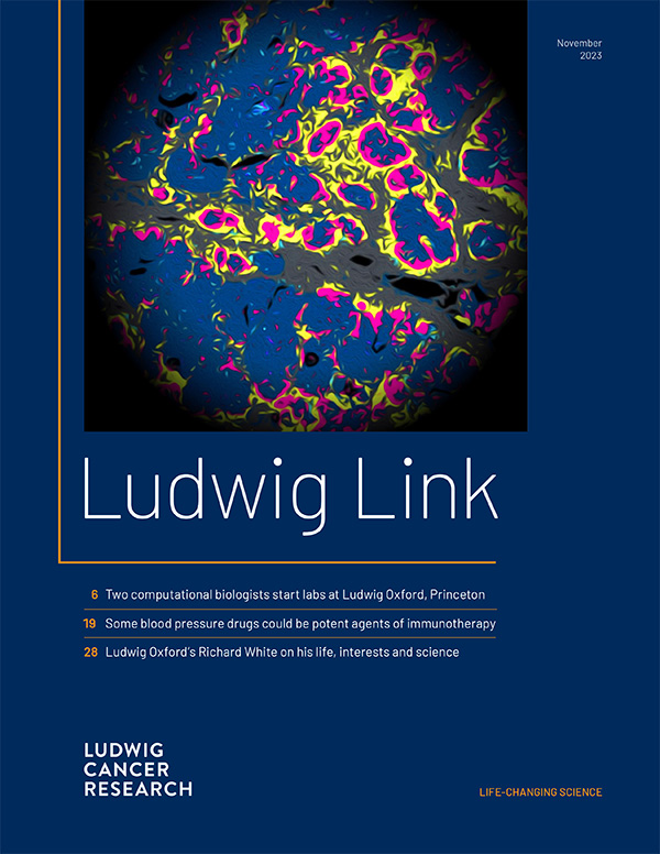 Cover of the November 2023 ussie of Ludwig Link