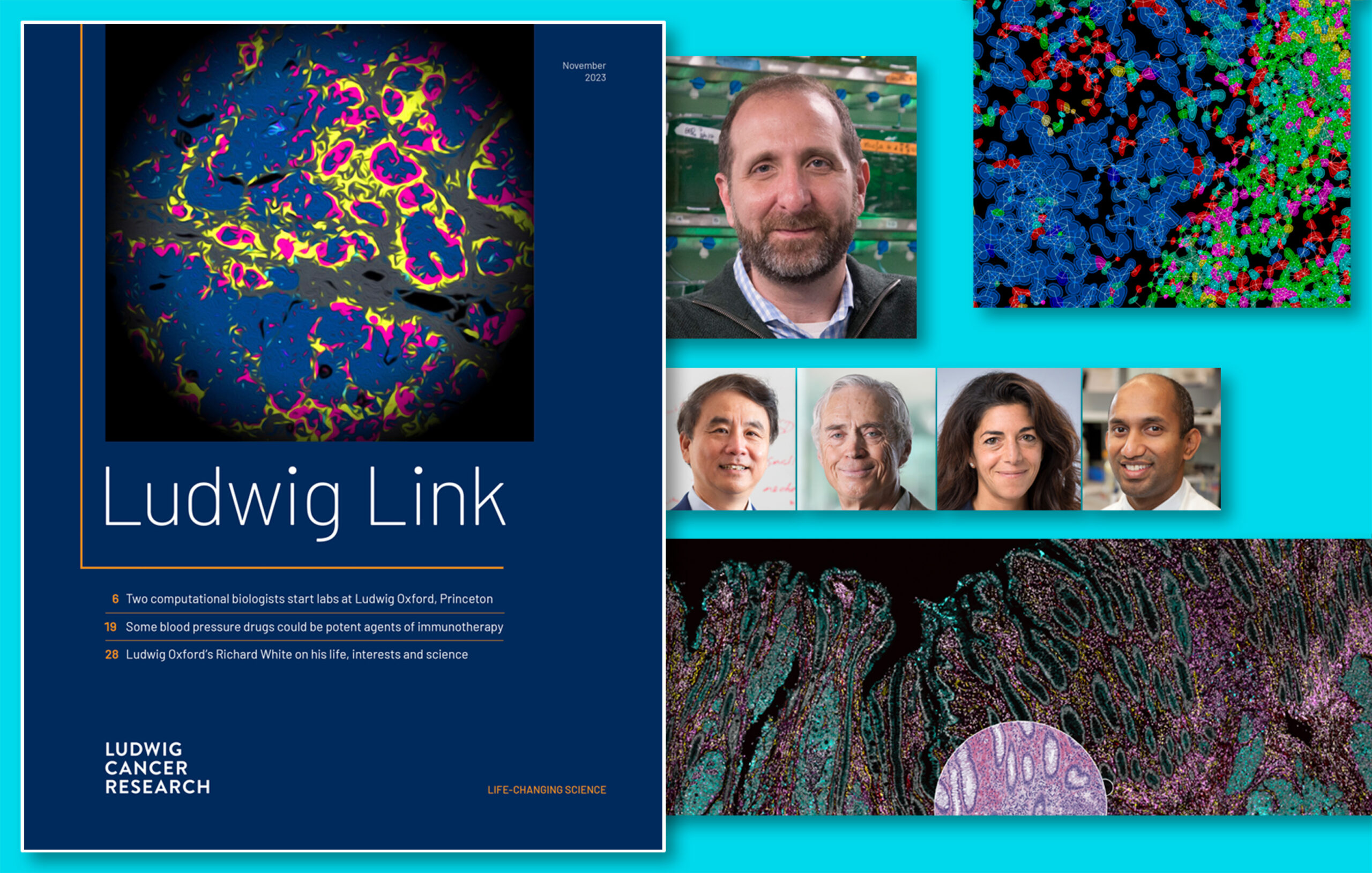 Highlights from the November 2023 issue of Ludwig Link