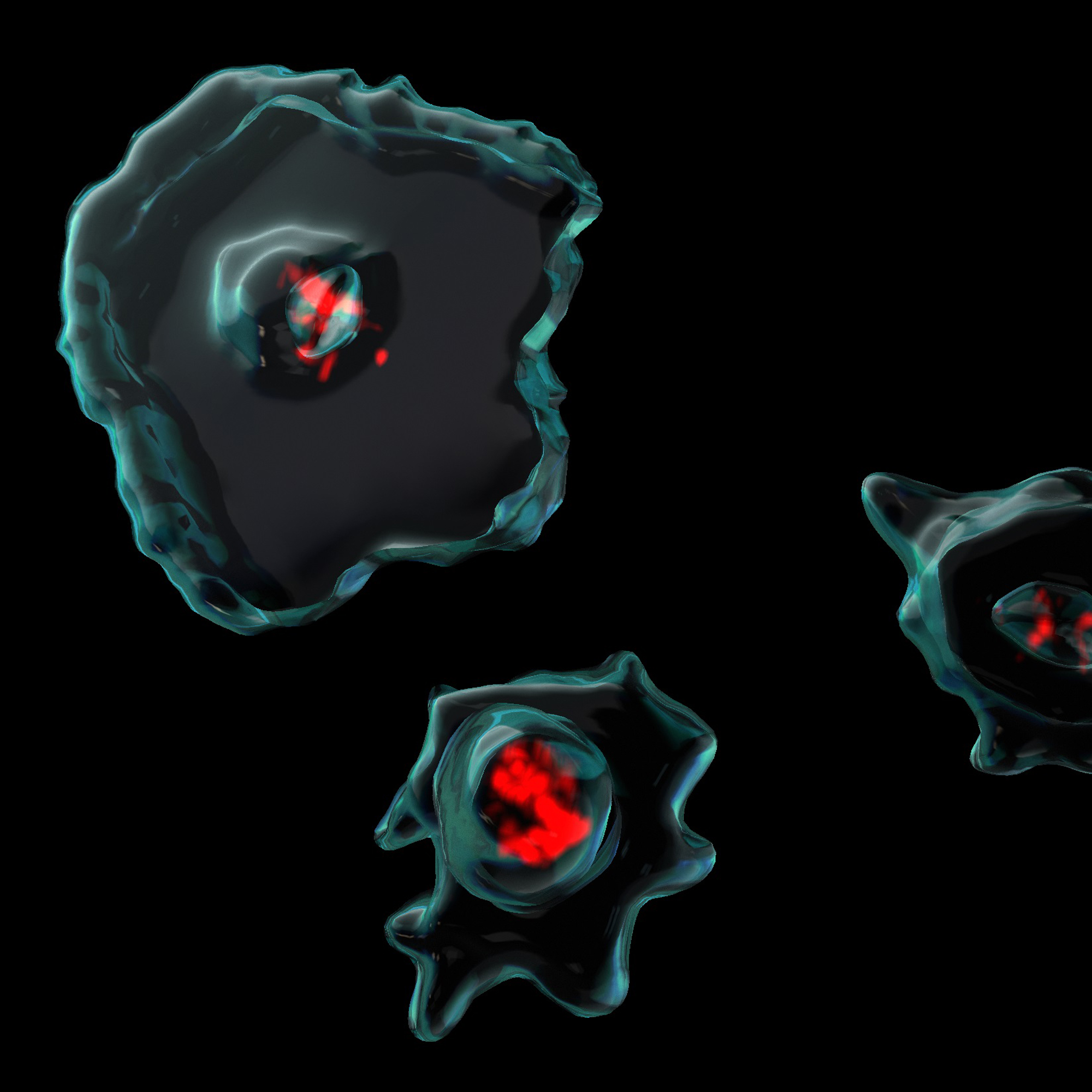 Platelets (turquoise surface mask) mop up cell-free (cf) DNA (red) from blood plasma, likely helping to prevent systemic inflammation. They also carry a significant amount of rare cfDNA derived from tumor cells and their inclusion in liquid biopsies could improve the sensitivity of such diagnostic tests.