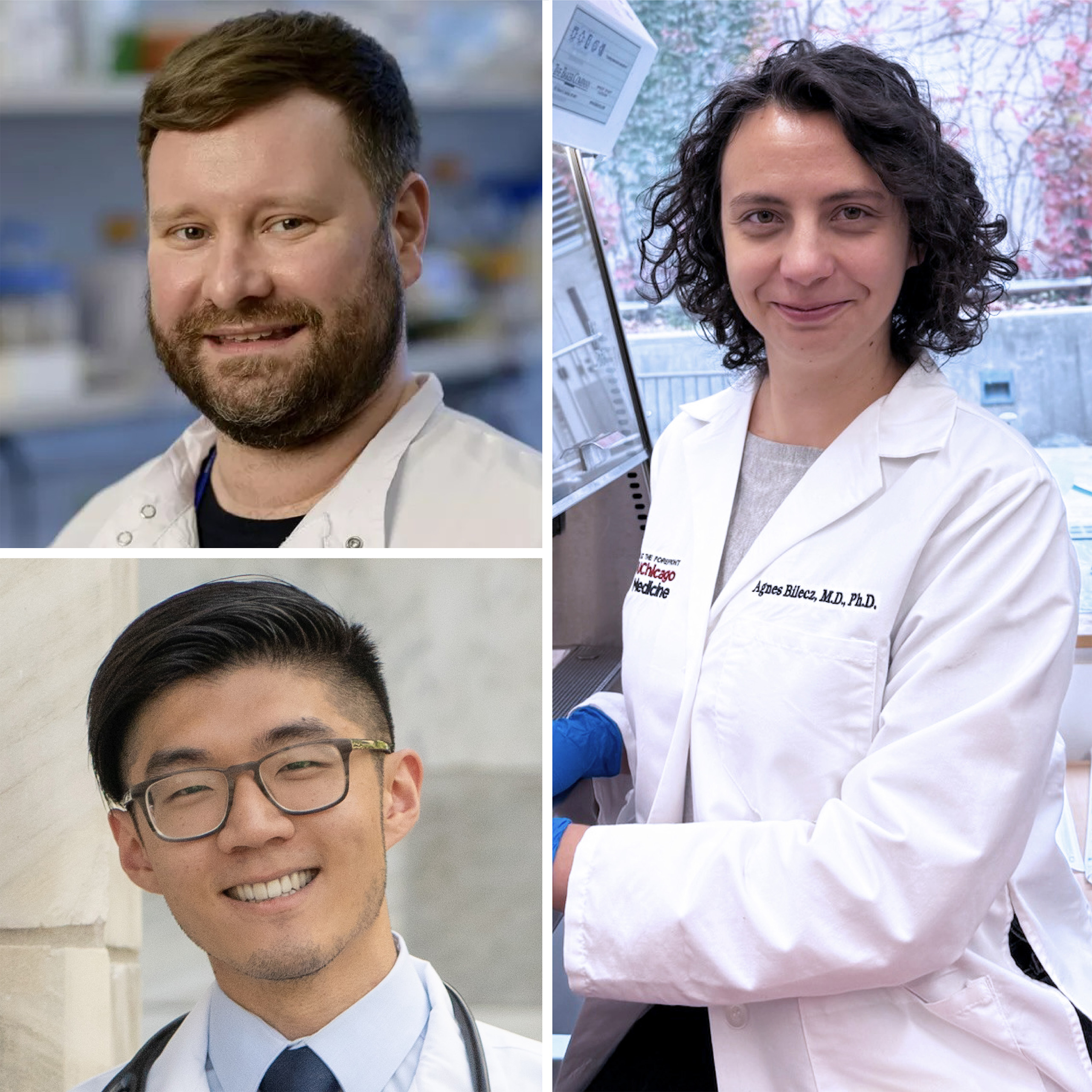 Clockwise from top left: Clemens Hinterleitner, Agnes Bilecz and Daniel Kim