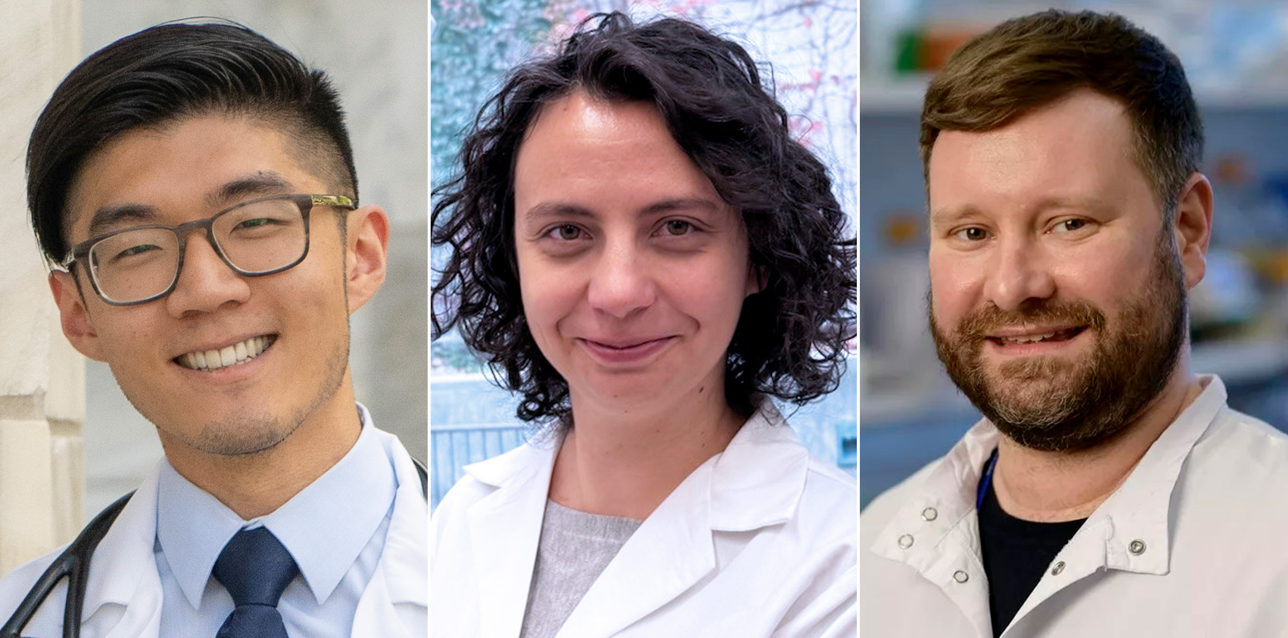 Daniel Kim, Ágnes Bilecz and Clemens Hinterleitner, Ludwig Cancer Research