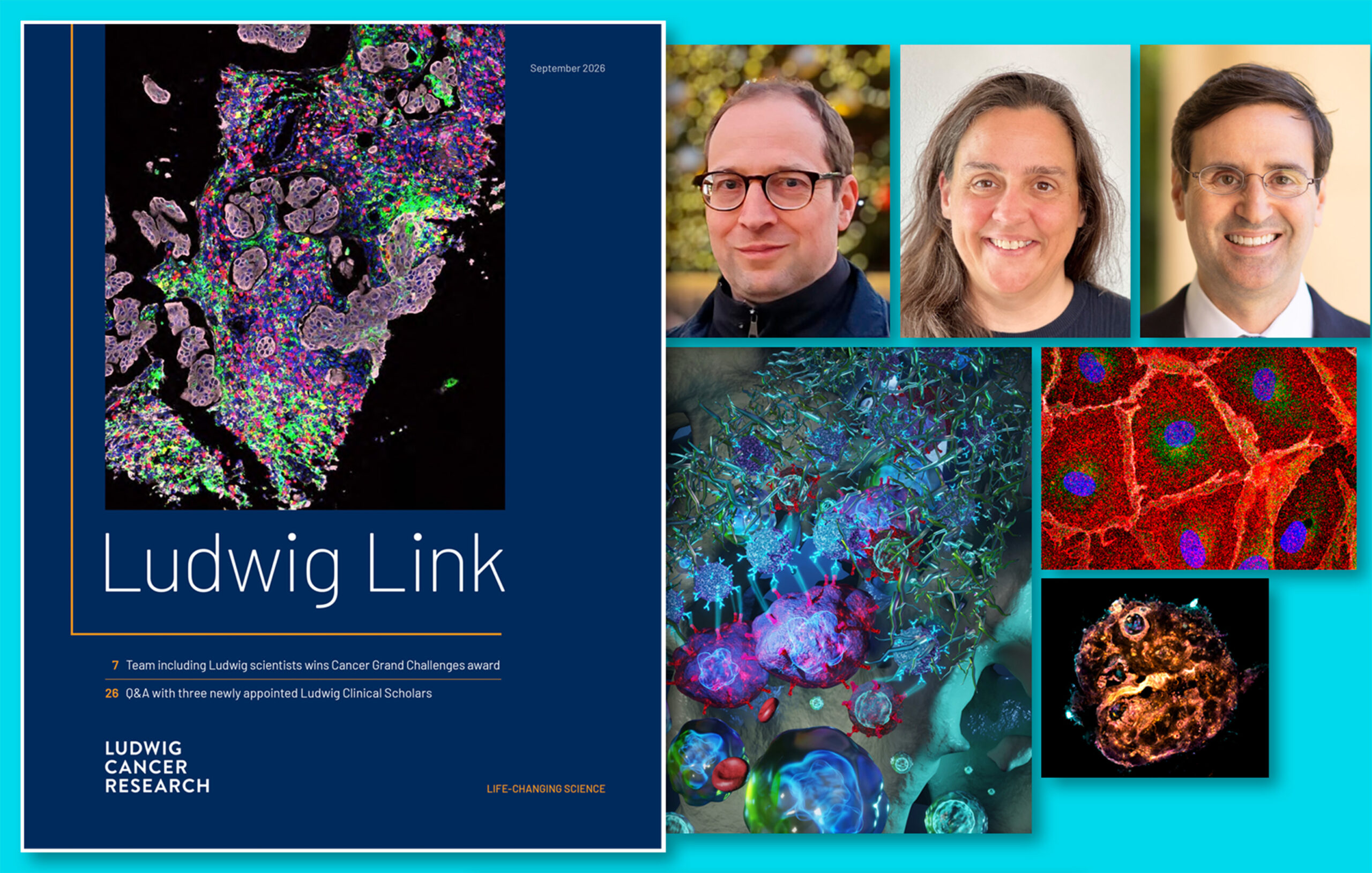 Highlights of Ludwig Link September 2026 issue