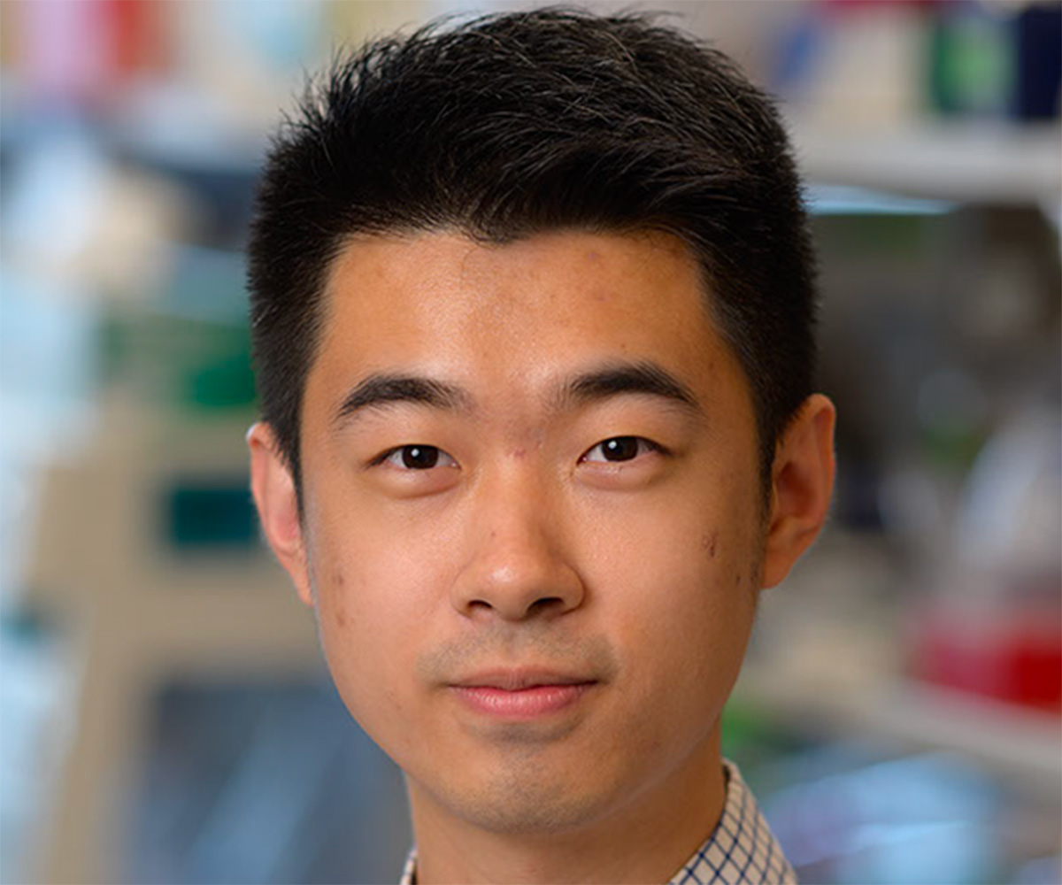 Yilun Ma, Ludwig Cancer Research MSK