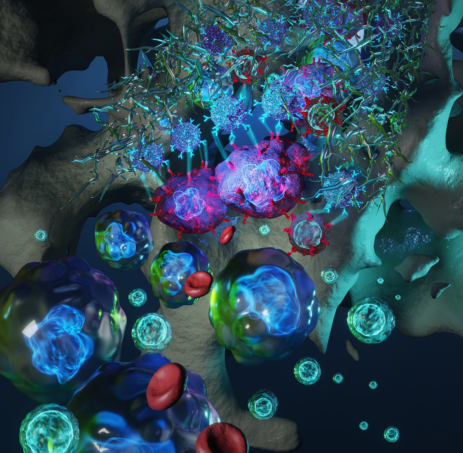 A substantial portion of MPNs are driven by mutant CALR, which aberrantly forms a complex with TpoR and migrates to the cell surface to trigger oncogenic signaling, generating a cancer-specific antigen that can be targeted by CAR-T cells. This graphic, generated in partnership with DrawImpacts, depicts CAR-T cells killing bone marrow cells that express mutant CALR, which is depicted here as a red ‘flag’ on the cell surface.